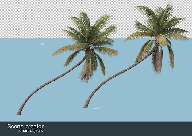 3D rendering of various tree shapes and types