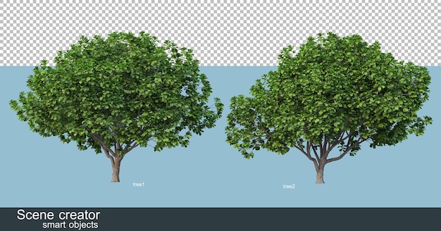 3d rendering of various tree shapes and types