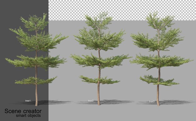 3d rendering of various tree types isolated