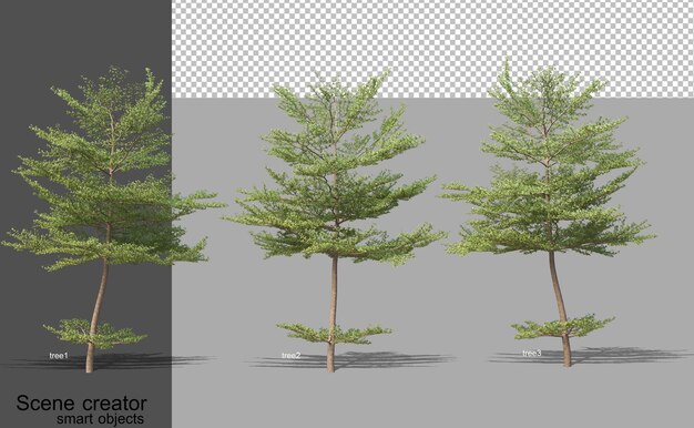3d rendering of various tree types isolated