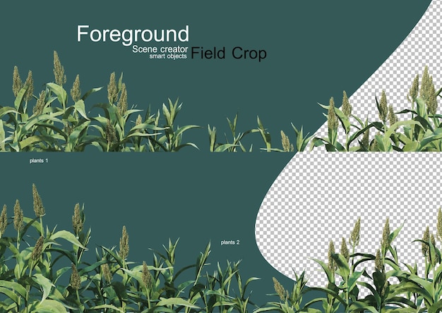 3d rendering of various types of agronomy