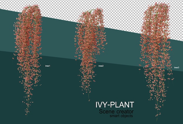 다양한 유형의 아이비 디자인의 3d 렌더링