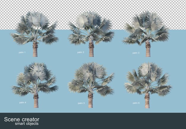 さまざまな種類のヤシの木の3dレンダリング