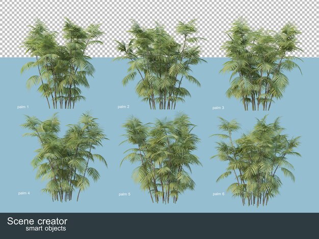 3d-рендеринг различных видов пальм