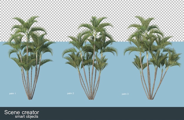 さまざまな種類のヤシの木の3dレンダリング