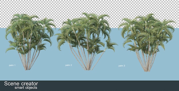 さまざまな種類のヤシの木の3dレンダリング