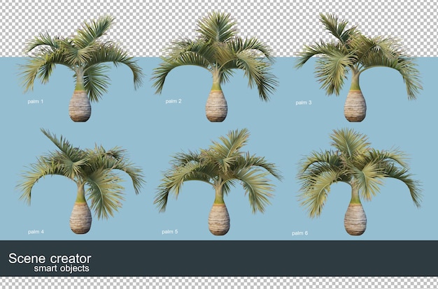 3d rendering of various types of palm trees