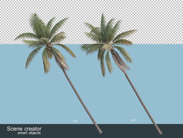 3d rendering of various types of palm trees