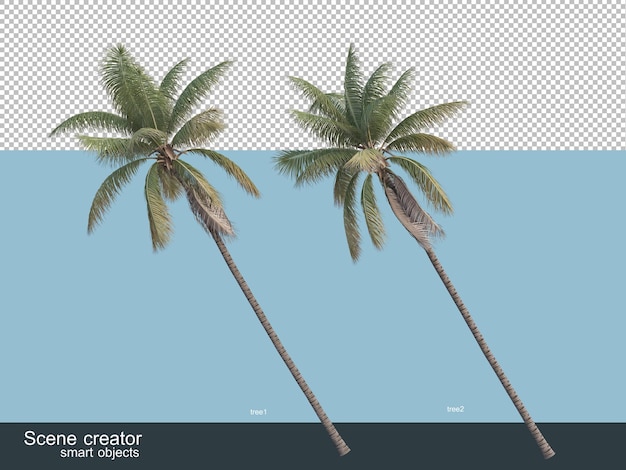 さまざまな種類のヤシの木の3dレンダリング