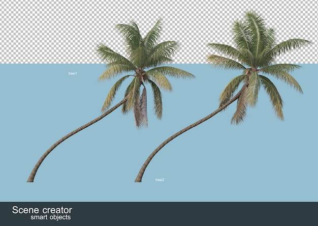 3d rendering of various types of palm trees