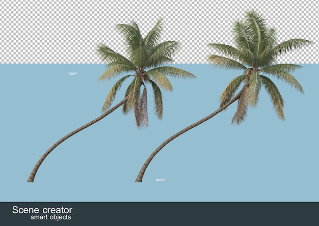 PSD 3d рендеринг различных видов пальм