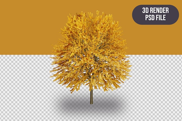 PSD 3d rendering of a orange tree isolated