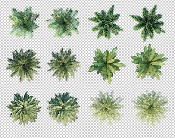 PSD 3d rendering of palm trees in top view