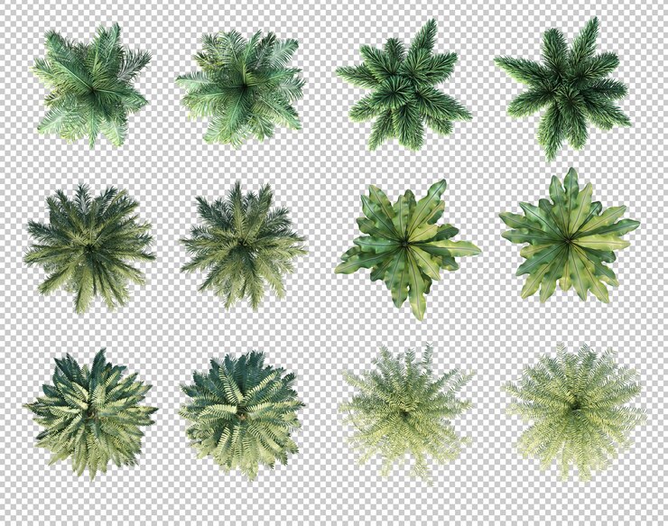 PSD 3d rendering of palm trees in top view