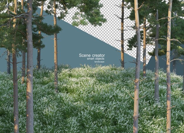 PSD 3d rendering of pine trees on the grassy hillside