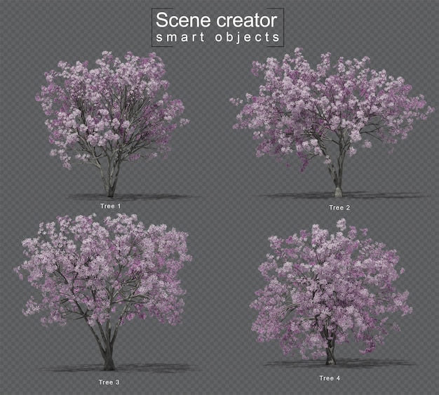 PSD rendering 3d di set di magnolia stella rosa