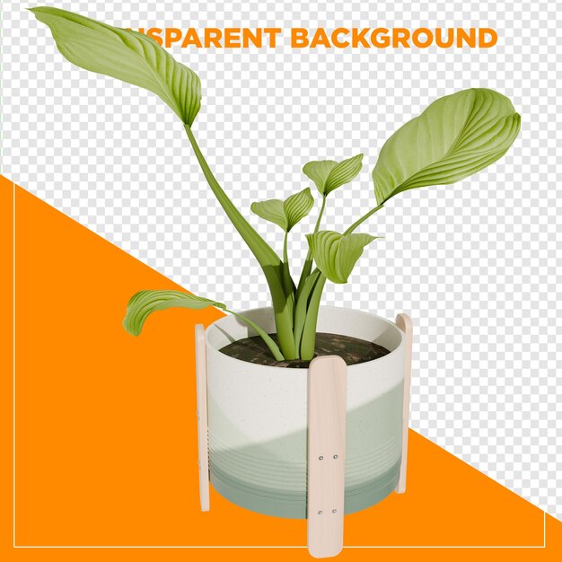 3d rendering plant in de pot vaas met doorzichtige achtergrond