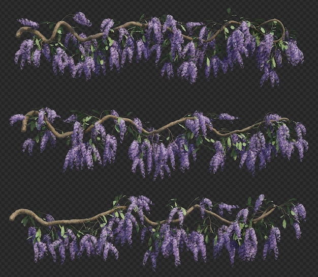 PSD 3d rendering of queen's wreath tree collection
