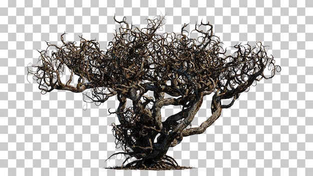 PSD 3d rendering of scary death tree