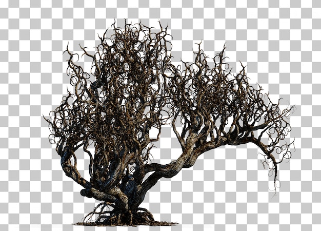 PSD 3d rendering of scary death tree