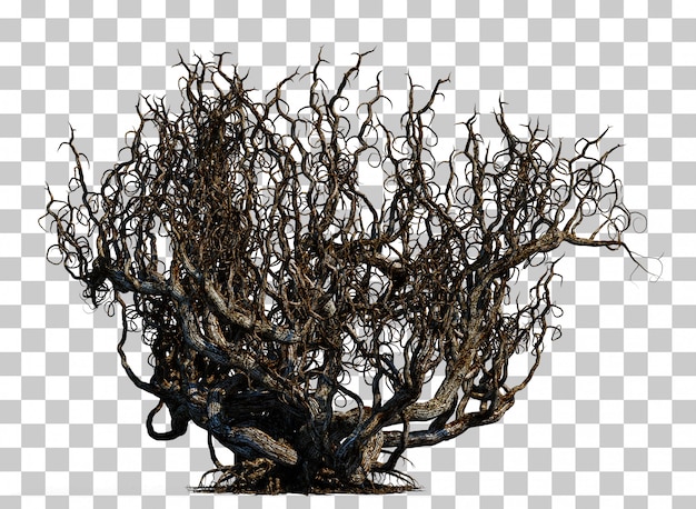 PSD 3d rendering of scary death tree