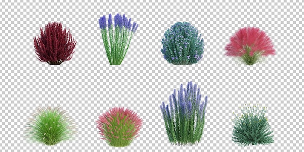 3d rendering arbusto e fiore isolato taglio sfondo