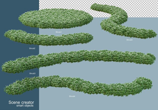 Rendering 3d della disposizione degli arbusti isolata