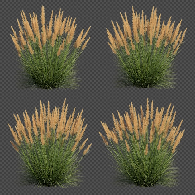 Rendering 3d di silver spike grass set