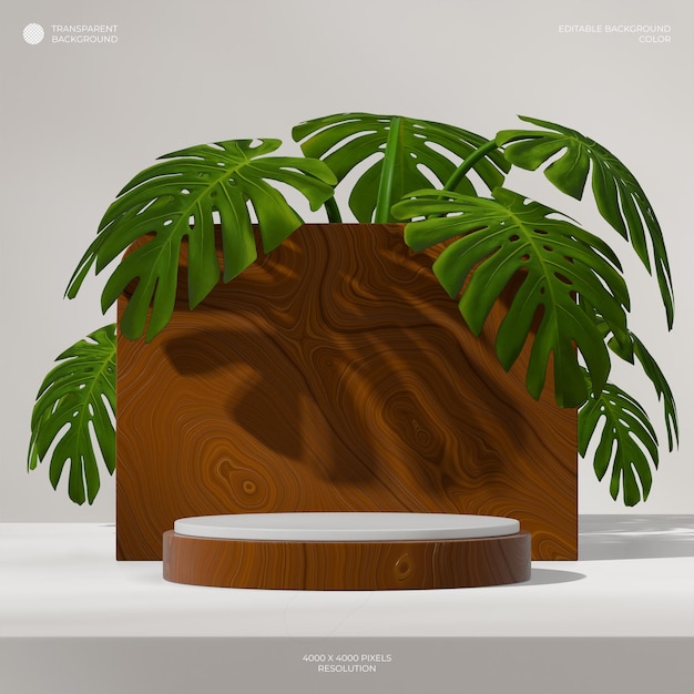 PSD 3d rendering transparent background of wood grain cylinder podium in square with monstera plant