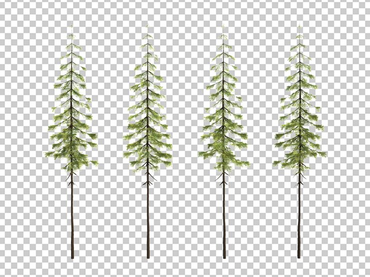 PSD 3d rendering tree isolated cut background