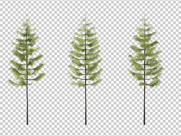 3d rendering tree isolated cut background