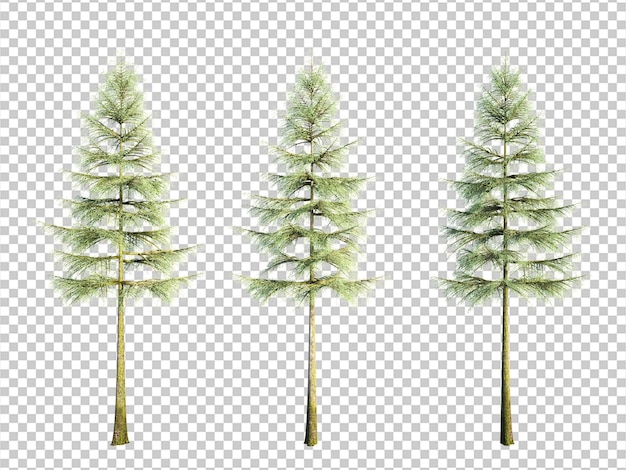 PSD 3d rendering tree isolated cut background