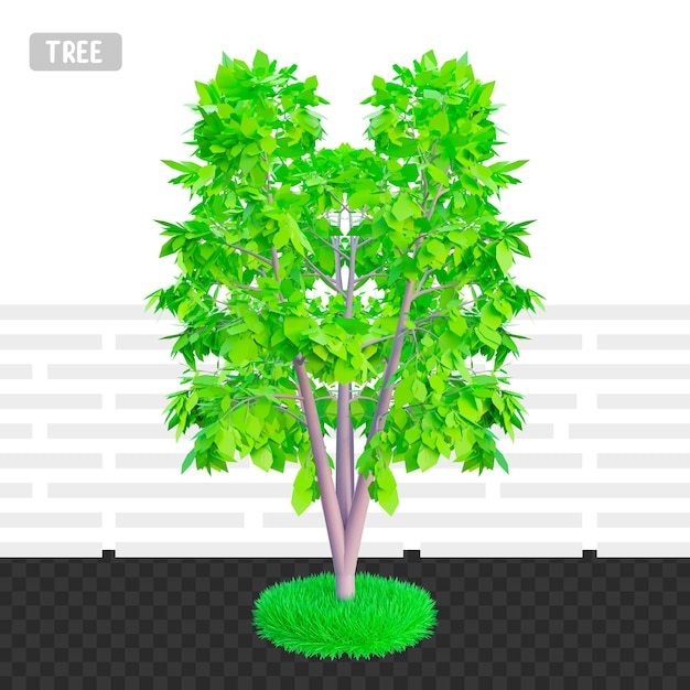 PSD 3d визуализация дерево, изолированные в белом