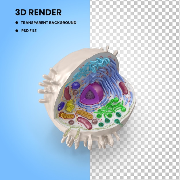 3D-rendering van dierlijke cellen TriCycle Bike energiebesparende gloeilamp