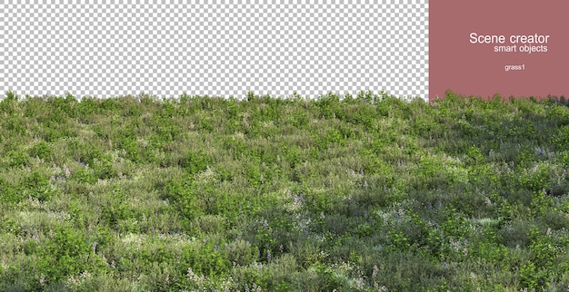 PSD 3d rendering of various grasses