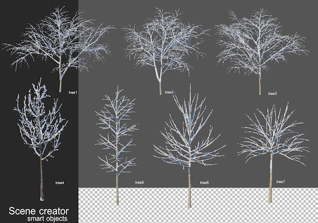 3d rendering various kinds of winter trees