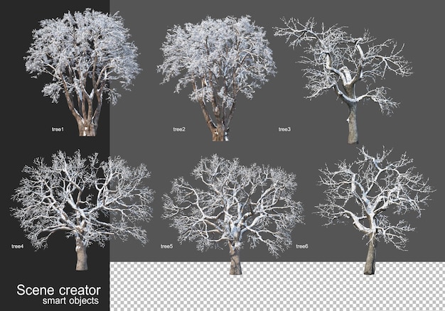 PSD rendering 3d vari tipi di alberi d'inverno