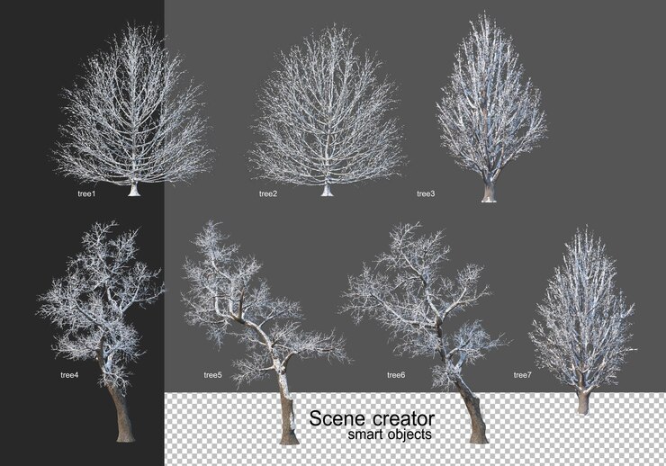 PSD 3d 렌더링 다양한 종류의 겨울 나무