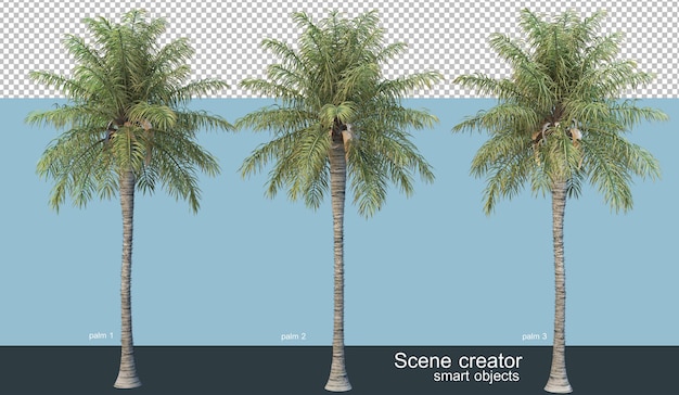 3d rendering of various species of trees