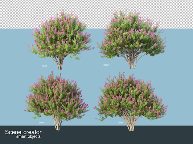 PSD rendering 3d di varie specie di alberi