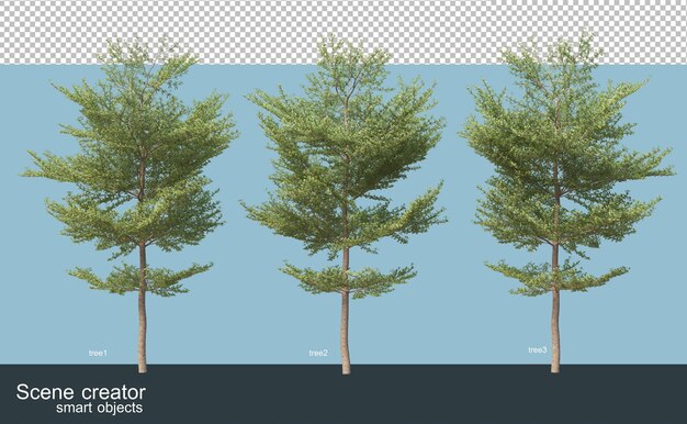 Rendering 3d di varie specie di alberi