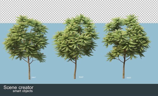 3d rendering of various species of trees