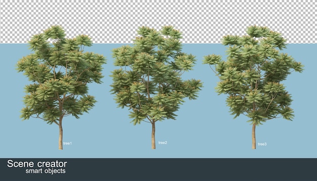 3d rendering of various species of trees