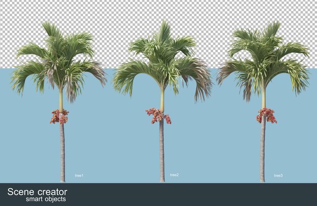 3d rendering of various species of trees