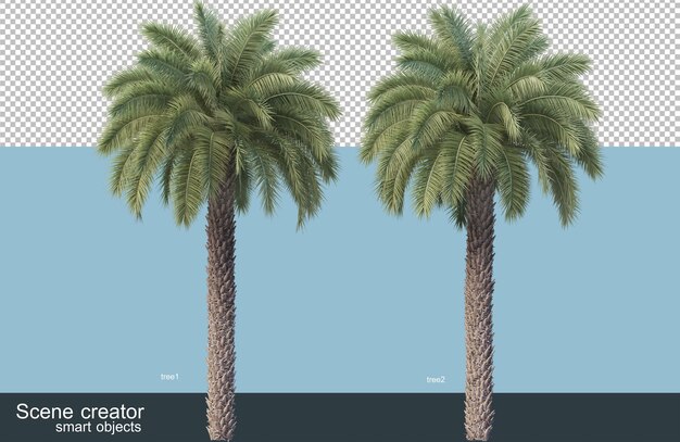 PSD rendering 3d di varie specie di alberi