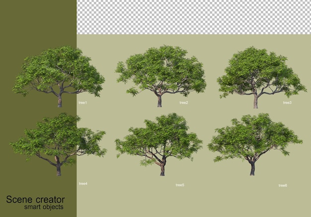 Rendering 3d di vari design ad albero isolato