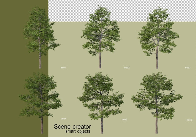 3d rendering of various tree design isolated