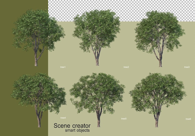 3d rendering of various tree design isolated