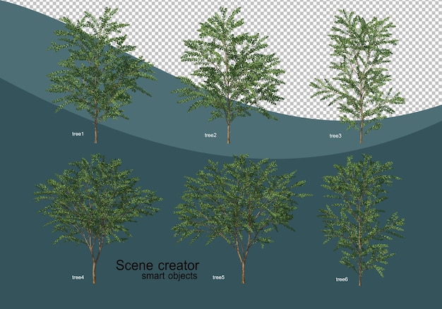 PSD 3d rendering of various tree design