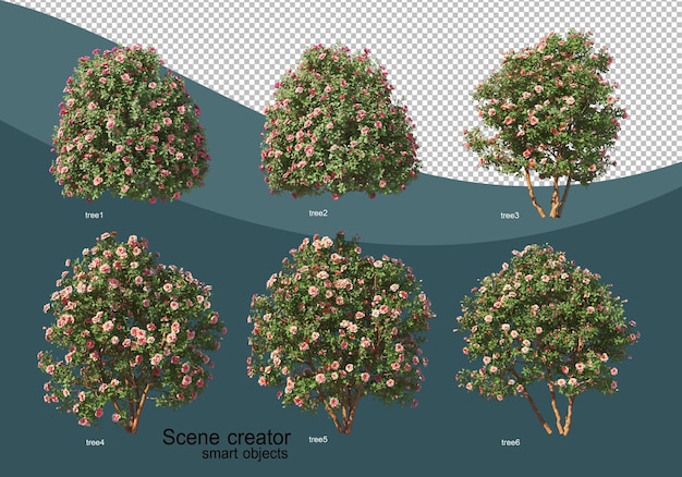 PSD 3d rendering of various tree design